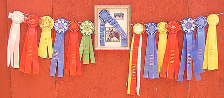 Some of the ribbons Shain has won