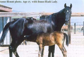 With Beaus Black Lady by NV Beau Bey